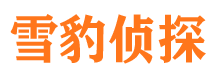 贡井婚外情取证